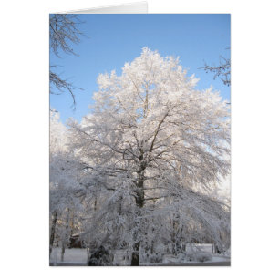 Snöig Oak OBS Kort