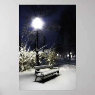 Snöig parkera poster