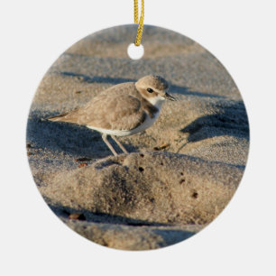 Snöig Plover Julgransprydnad Keramik