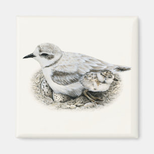Snöig Plover med chicken och äggmagneten Magnet