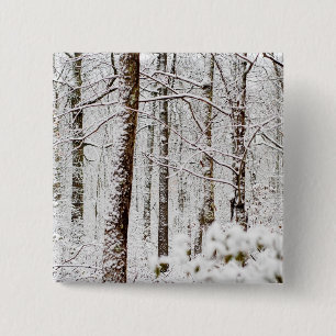 Snöig Pocono skogsmarker Knapp