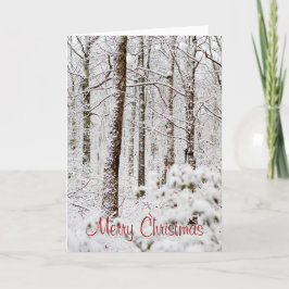 Snöig Pocono skogsmarkjulkort Helgkort