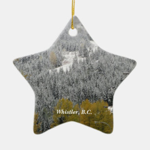 Snöig scen i Whistler, B.C. Julgransprydnad Keramik