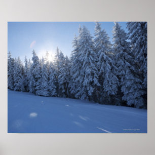 snöig skog i berg poster
