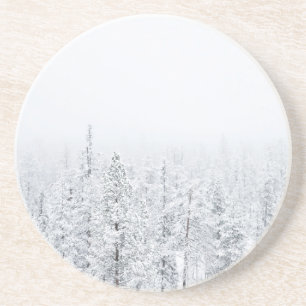 Snöig skog underlägg sandsten