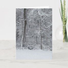 Snöig skogenjulkort 5x7 helgkort