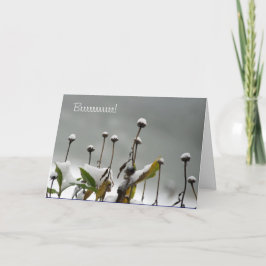 Snöig Stemsjulkort Helgkort