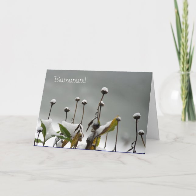 Snöig Stemsjulkort Helgkort (Framsida)