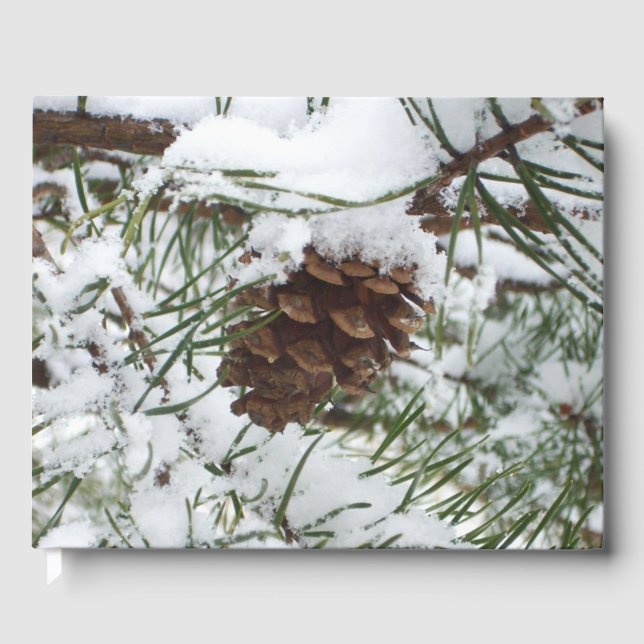 Snöig tallkotte I Vinter Naturfotografering Gästböcker (Framsida)