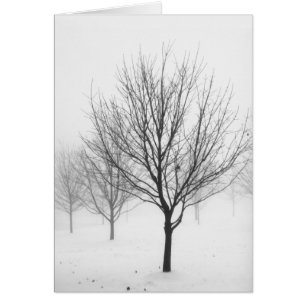 Snöig träd (förbigå), OBS kort
