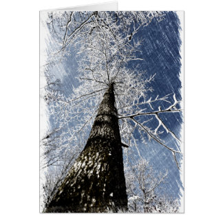 Snöig träd hälsningskort