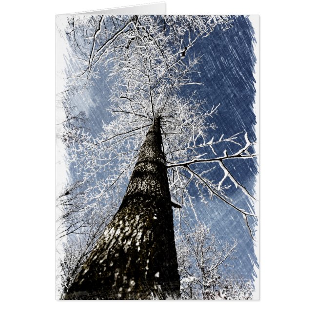 Snöig träd hälsningskort (Framsidan)