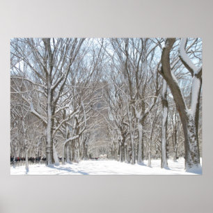 Snöig träd i Central Park Poster