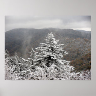 Snöig träd poster