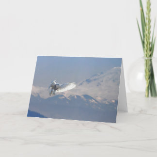 Snöig uggla, gränsfjärd, Mt.-bagare, BC Helgkort