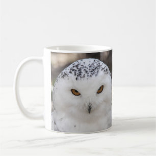 Snöig uggla kaffemugg