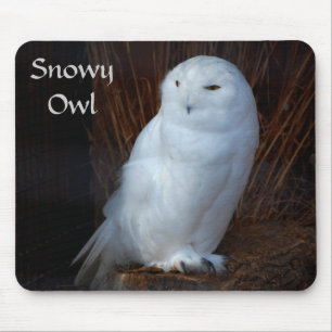 Snöig uggla - mousepad musmatta