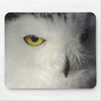 Snöig uggla Mousepad Musmatta