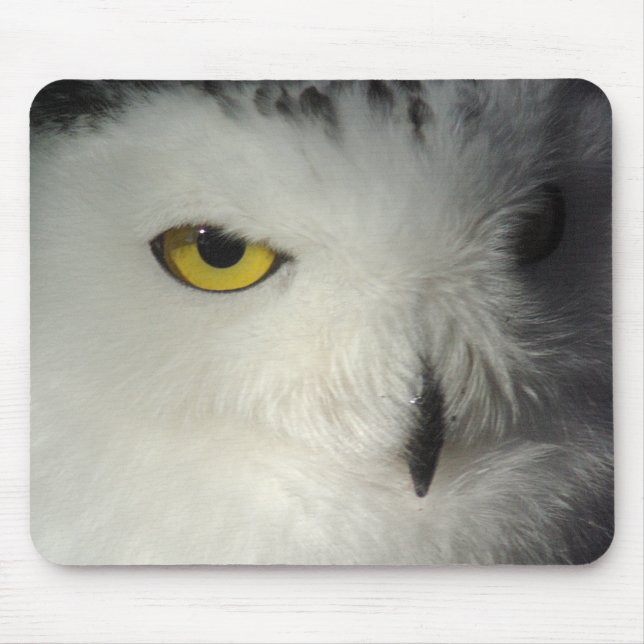 Snöig uggla Mousepad Musmatta (Framsidan)