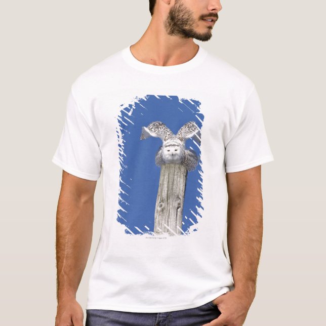 Snöig uggla överst av en pol och att förbereda sig t shirt (Framsida)