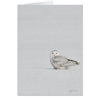 Snöig ugglakort hälsningskort