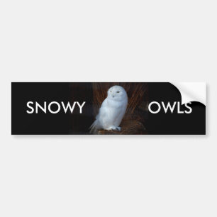 SNÖIG UGGLOR - bildekal