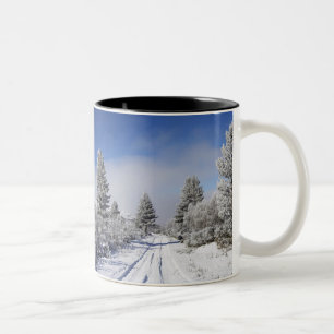 Snöig väg och tallar, Cambrians, nära St Två-Tonad Mugg