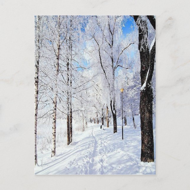 Snöig väg vykort (Framsida)