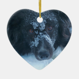 Snöig vänd mot prydnad för gränsColliehund Julgransprydnad Keramik
