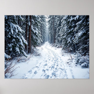Snöig vinter skog stig med fotspår vandring poster