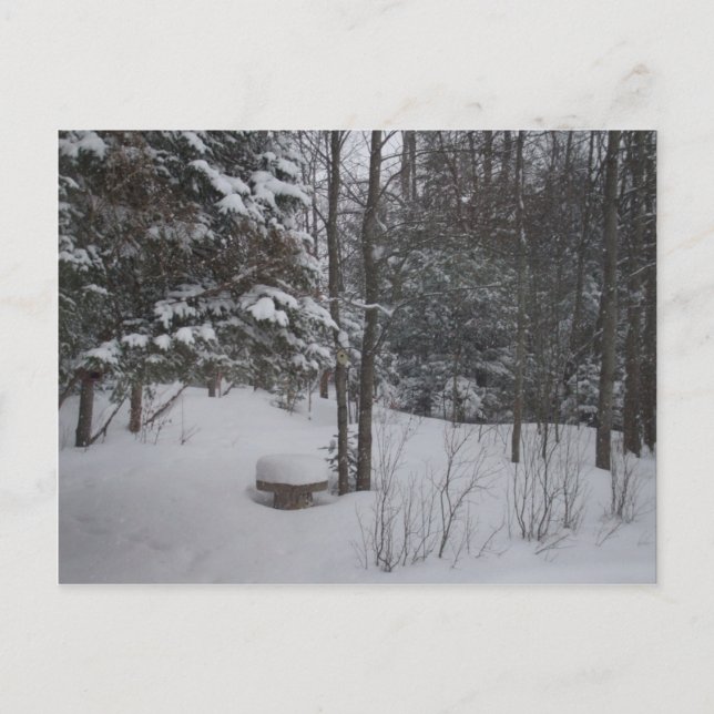 Snöig vinterdag vykort (Framsida)