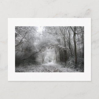 Snöig vinterskog (8656) vykort