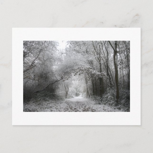 Snöig vinterskog (8656) vykort (Framsida)
