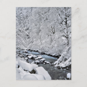 Snöig vit bäck landskap, Oregon Vykort
