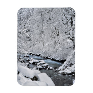 Snöig vit bäck pittoresk, Oregon Magnet