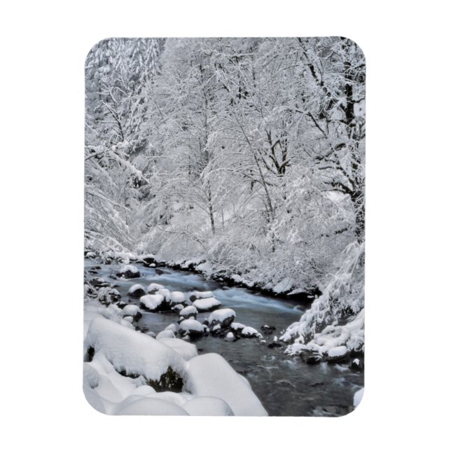 Snöig vit bäck pittoresk, Oregon Magnet (Vertikal)