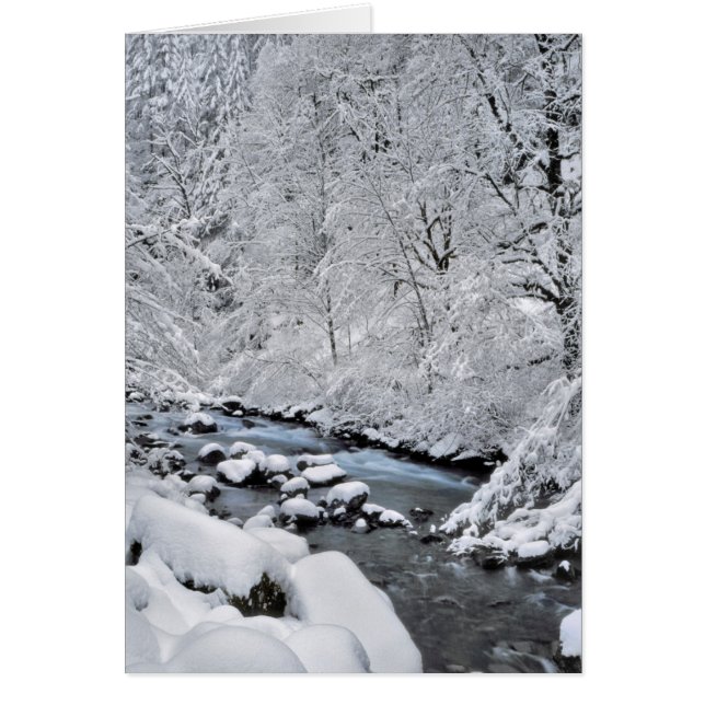 Snöig vit bäck pittoreskt, Oregon Hälsningskort (Framsidan)