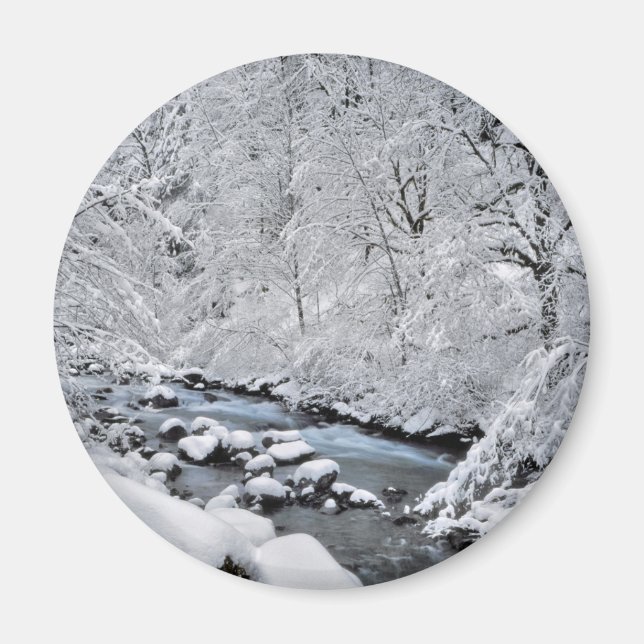 Snöig vit bäck pittoreskt, Oregon Magnet (Framsidan)