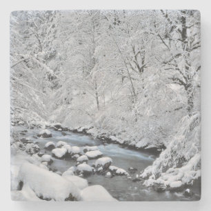 Snöig vit bäckscen, Oregon Stenunderlägg