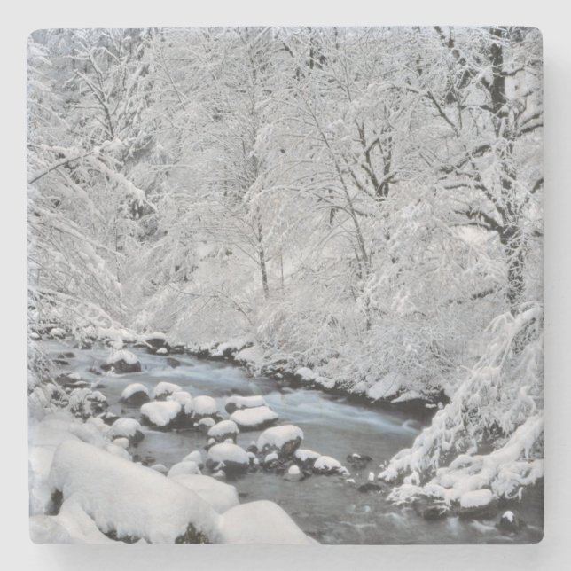 Snöig vit bäckscen, Oregon Stenunderlägg (Framsidan)