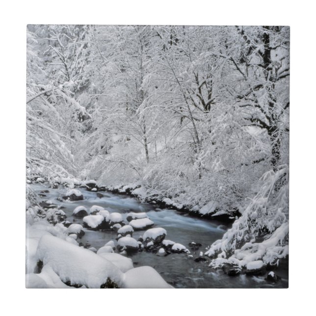Snöig vit bäckscenisk, Oregon Kakelplatta (Framsidan)