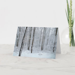 Snöig vit poppelskog kort