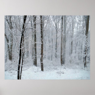 Snöig vit poppelskog poster