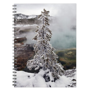 Snöig Yellowstone Anteckningsbok Med Spiral