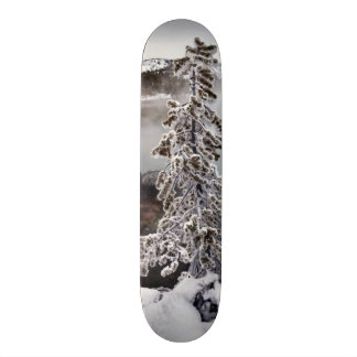 Snöig Yellowstone Old School Skateboard Bräda 21,6 Cm