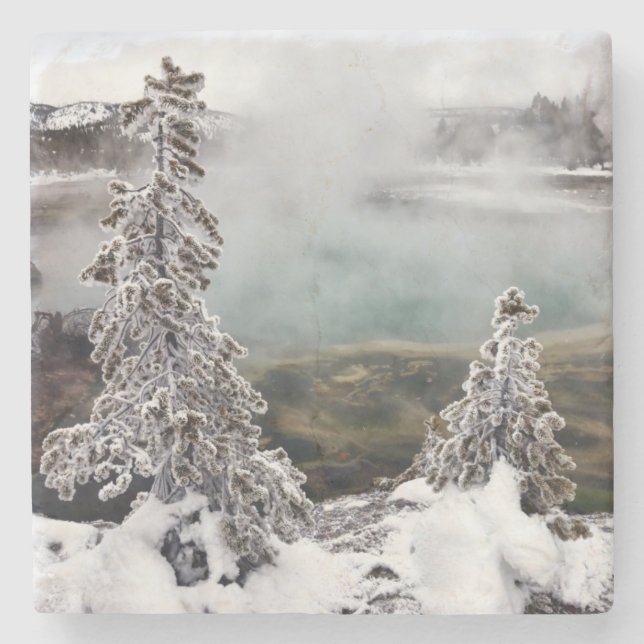 Snöig Yellowstone Stenunderlägg (Framsidan)