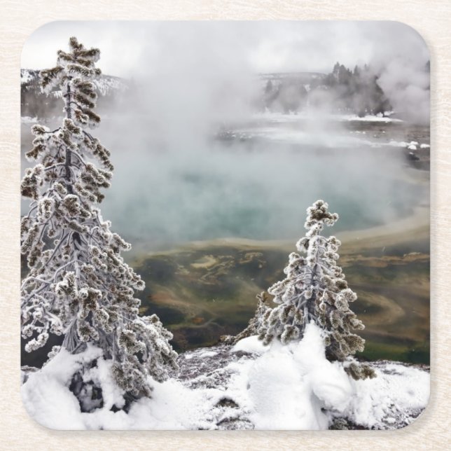 Snöig Yellowstone Underlägg Papper Kvadrat (Framsidan)
