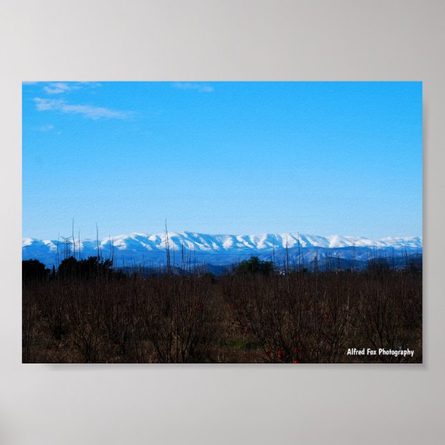 Snöiga berg bakom persimmonsfältet poster (Framsidan)