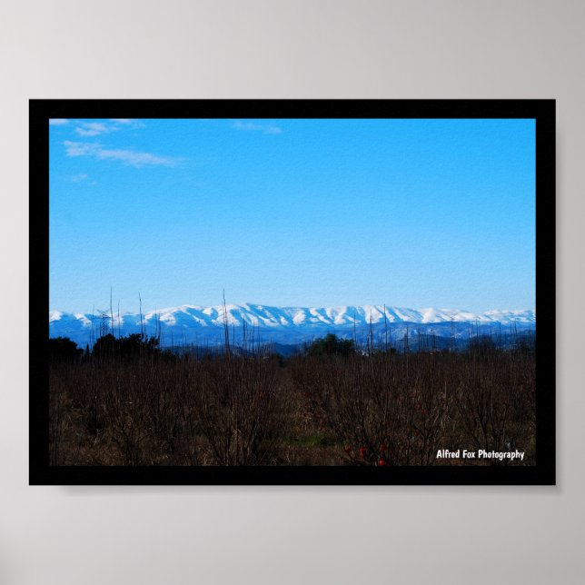 Snöiga berg bakom persimmonsfältet poster (Framsidan)