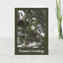 Snöiga Tallkottar Vikad Julkort Helgkort